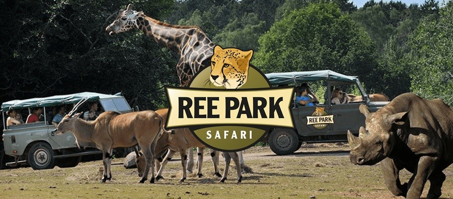 Ree Park - TESTER