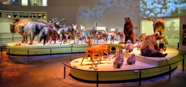 Naturama 2026 - Spar 20%